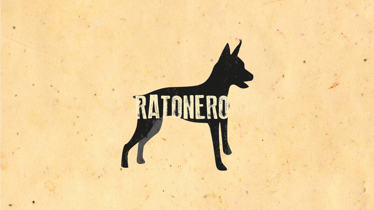 Ratonero Murciano | Gurulab